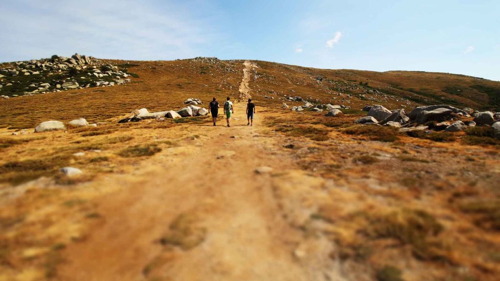 People Hiking on a Trail